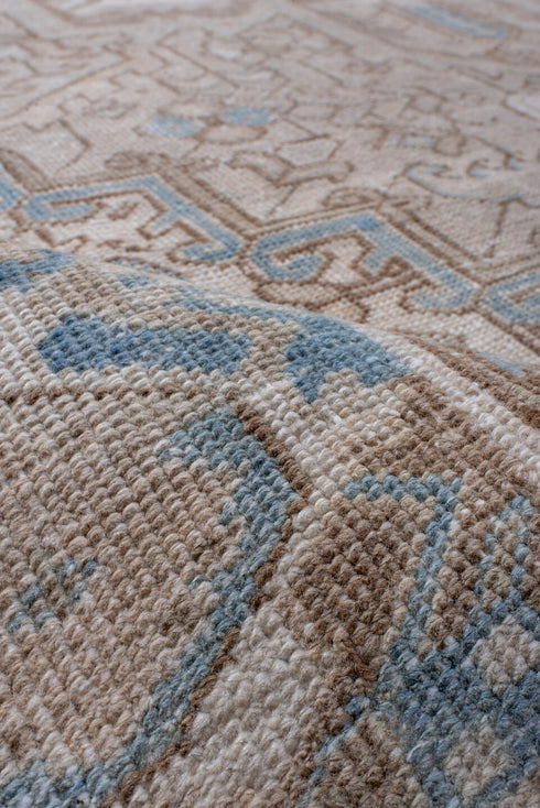 Antique Heriz Area Rug (7' x 11')